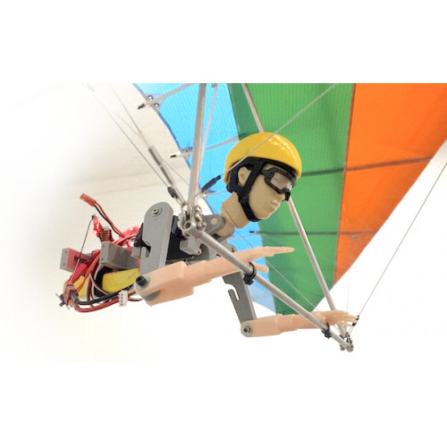 BMP RC Hang Glider Paraglider Pilot